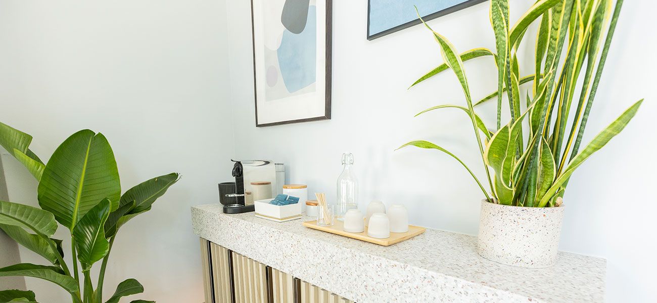Canary Dental refreshment station with coffee maker, glasses, and plants for a welcoming waiting area