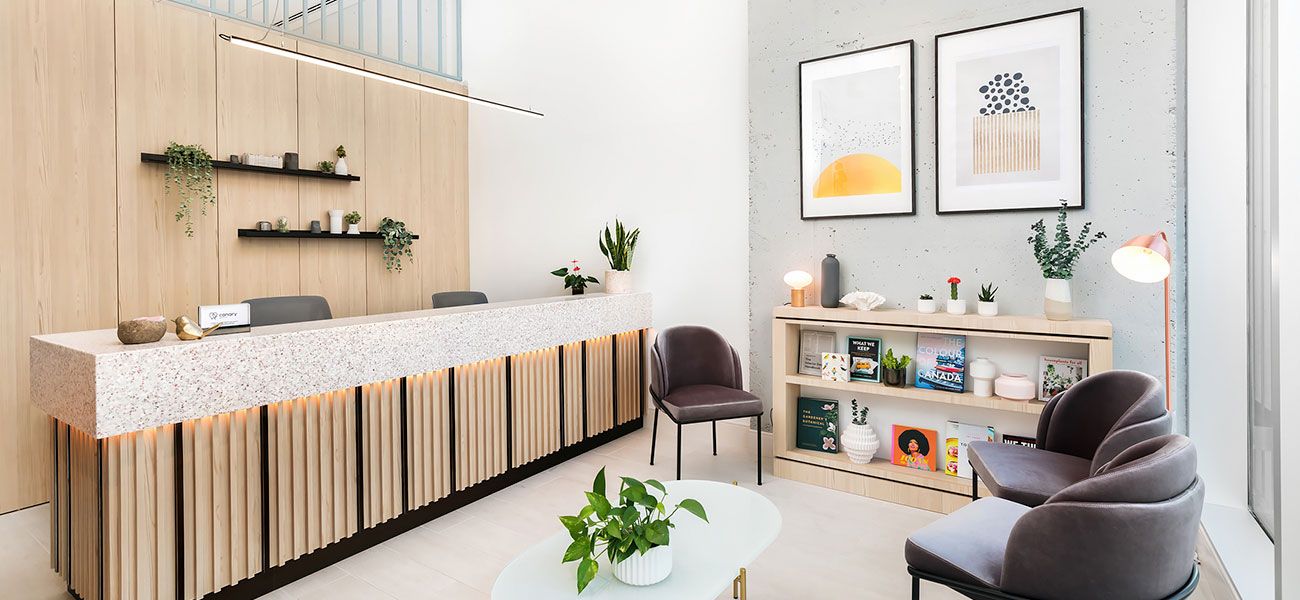 Canary Dental waiting area with cozy chairs, plants, books, and modern wall art creating a calm space